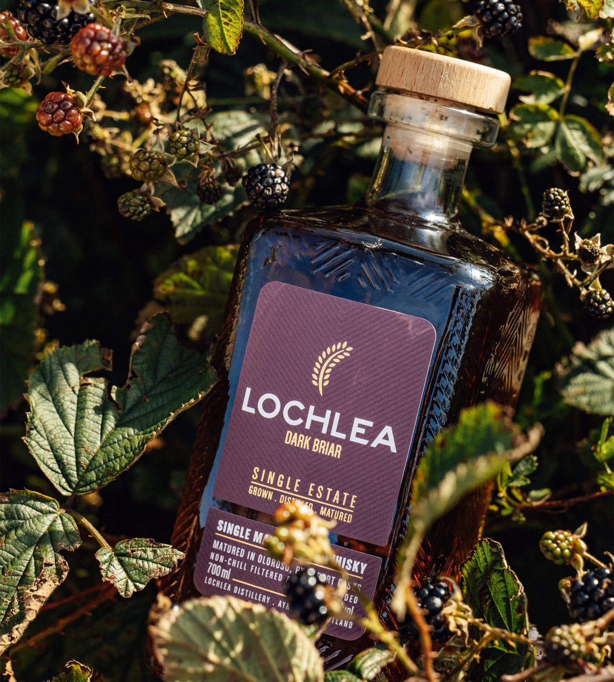 Lochlea Distillery • Dark Briar Single Malt Whisky